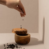 Olive Wood Salt & Spices Cellar