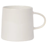 Aquarius Oyster Cups